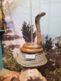/album/fotogaleria-wycieczka-do-muzeum-fauny-i-flory/img-20250731-wa0015-jpg/